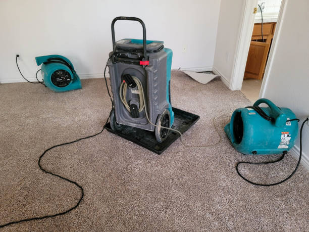 Best Professional water damage repair  in Tysons, VA