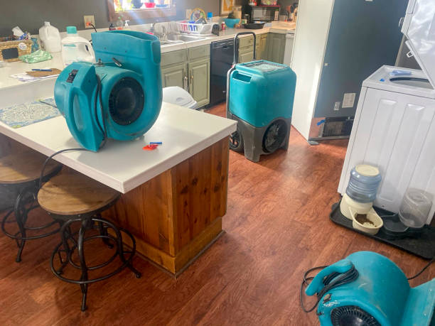 Best Local water damage restoration  in Tysons, VA