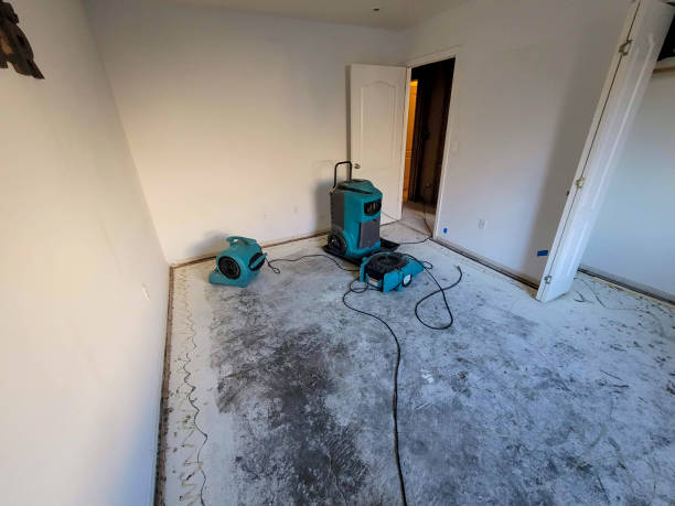 Best Fire Damage Restoration  in Tysons, VA