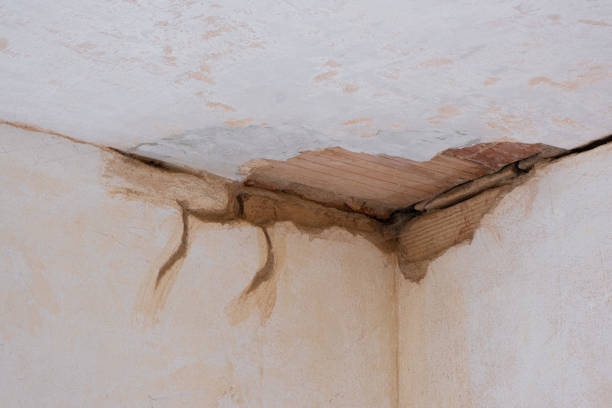 Best Flooded house restoration  in Tysons, VA