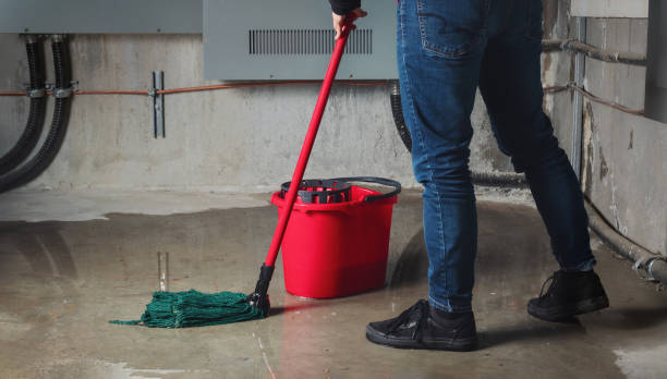 Best Flood restoration services  in Tysons, VA