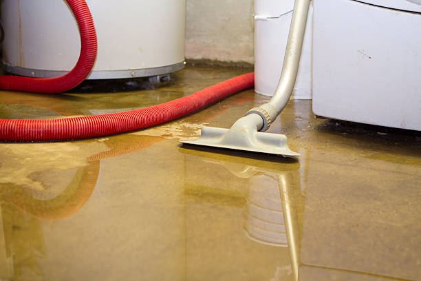 Best Flood damage cleanup  in Tysons, VA