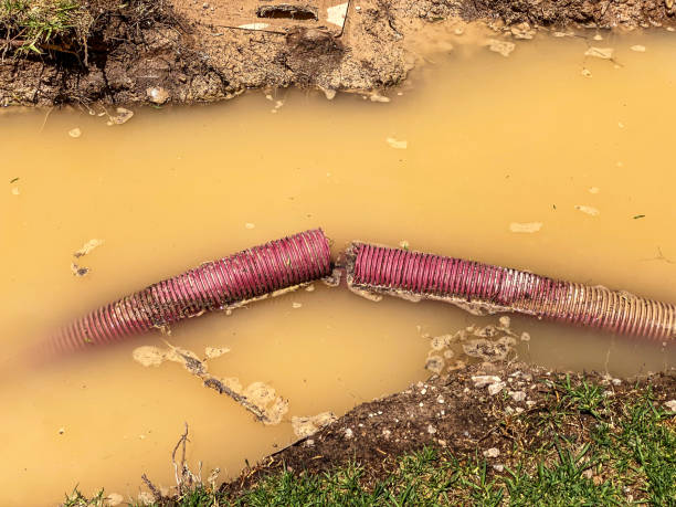 Best Mold removal after water damage  in Tysons, VA