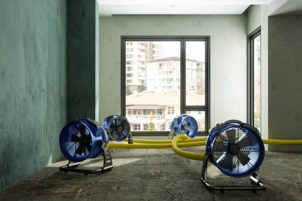 Best Residential water damage restoration  in Tysons, VA